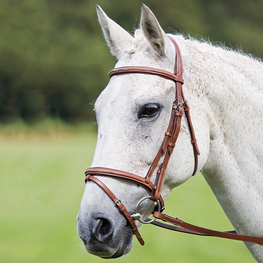 Black Avignon Padded Raised Flash Bridle