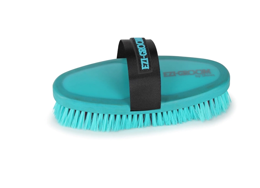 Sea Green Ezi-Groom Body Brush