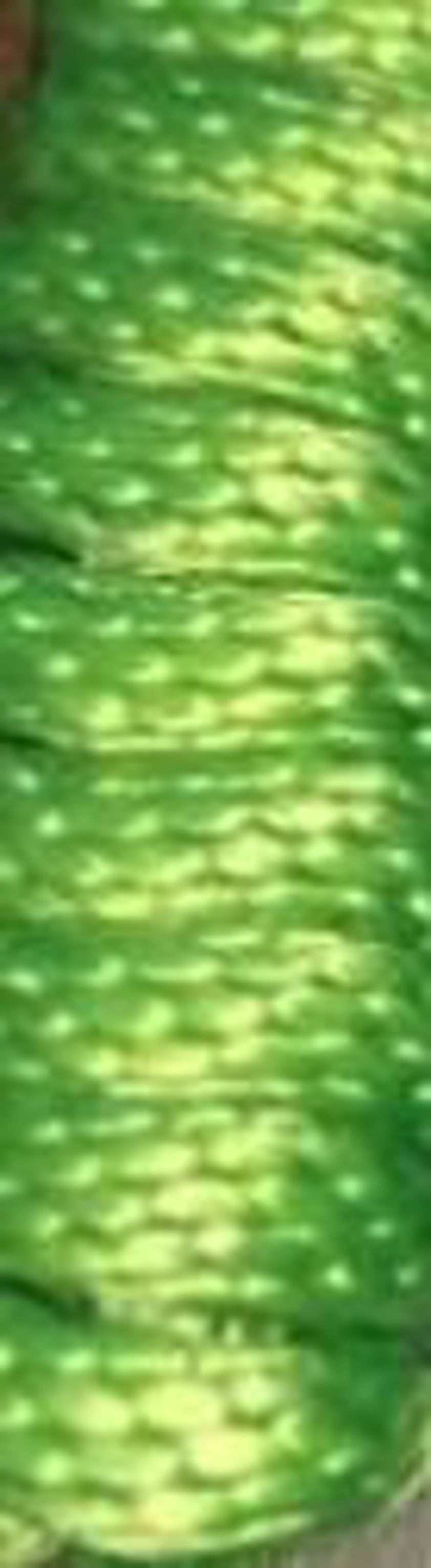 Red STS Supreme Lead Rope