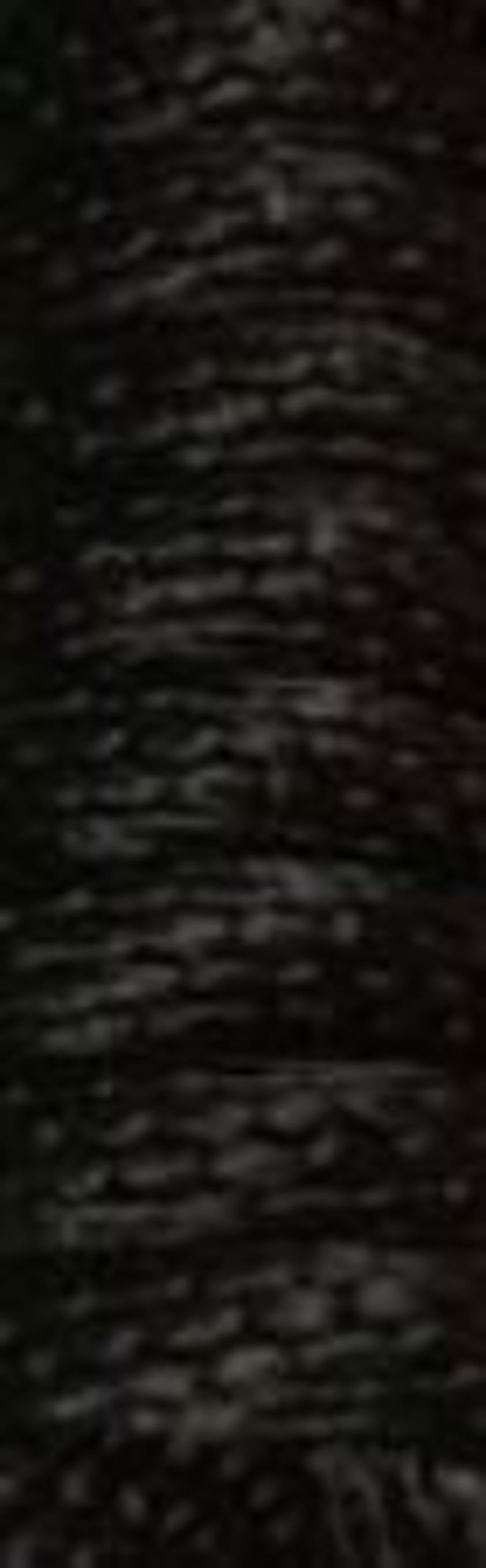 Black STS Supreme Lead Rope