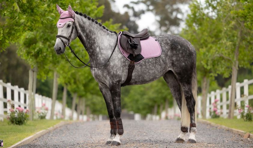 Fondant LeMieux Essence Close Contact Saddlecloth