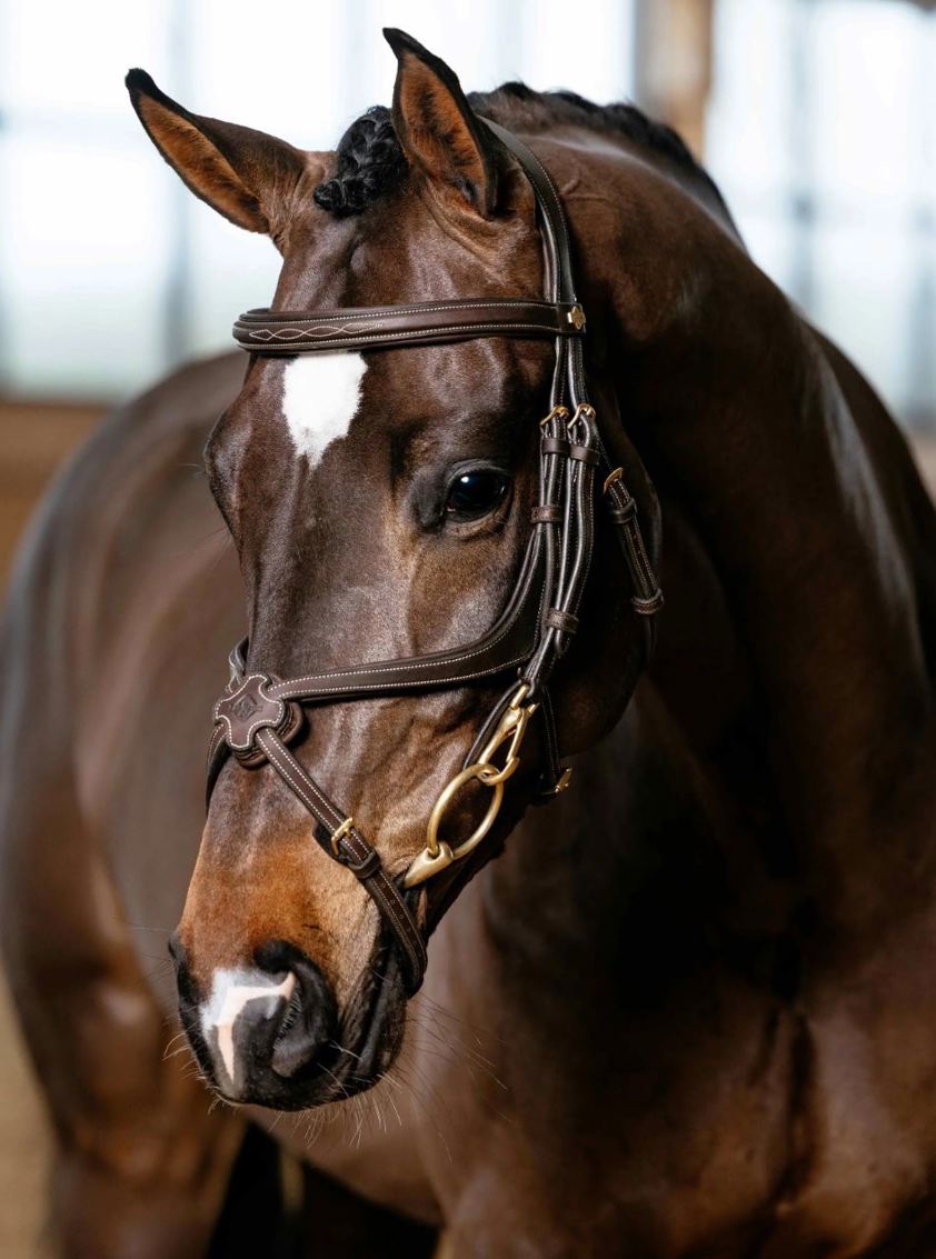 Brown LeMieux Kudos Grackle Work Bridle