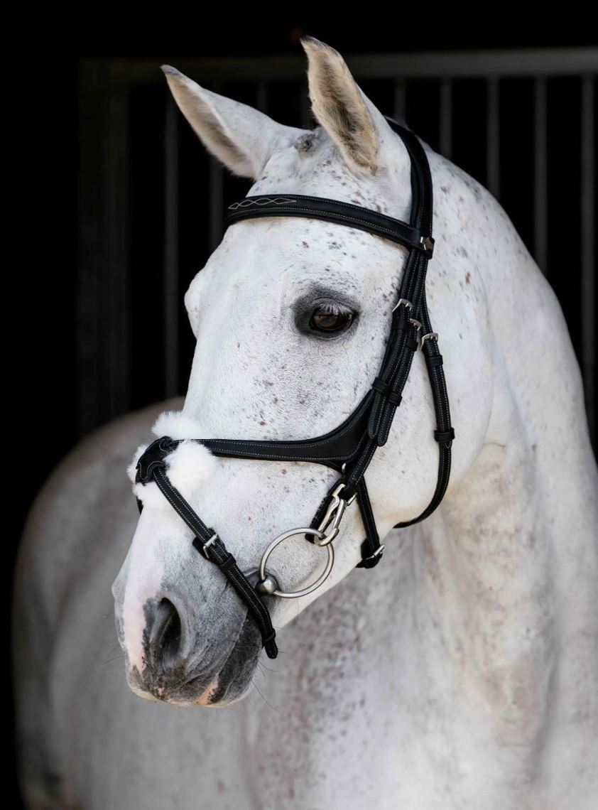 Black LeMieux Kudos Grackle Work Bridle