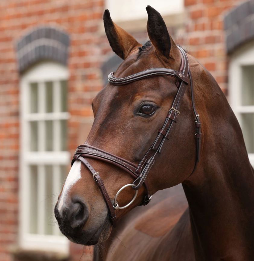 Havana Velociti Lusso Opus 180M Padded Flash Bridle