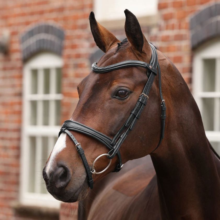 Black Velociti Lusso Opus 180M Padded Flash Bridle