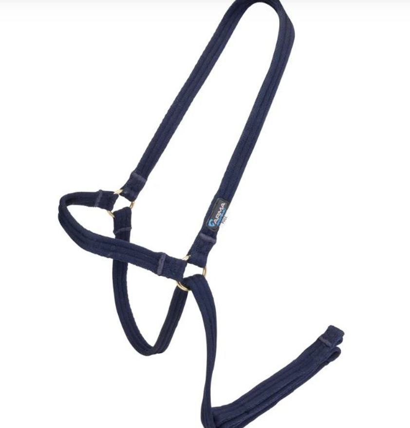 Navy Arma Cushion Web Halter & Lead