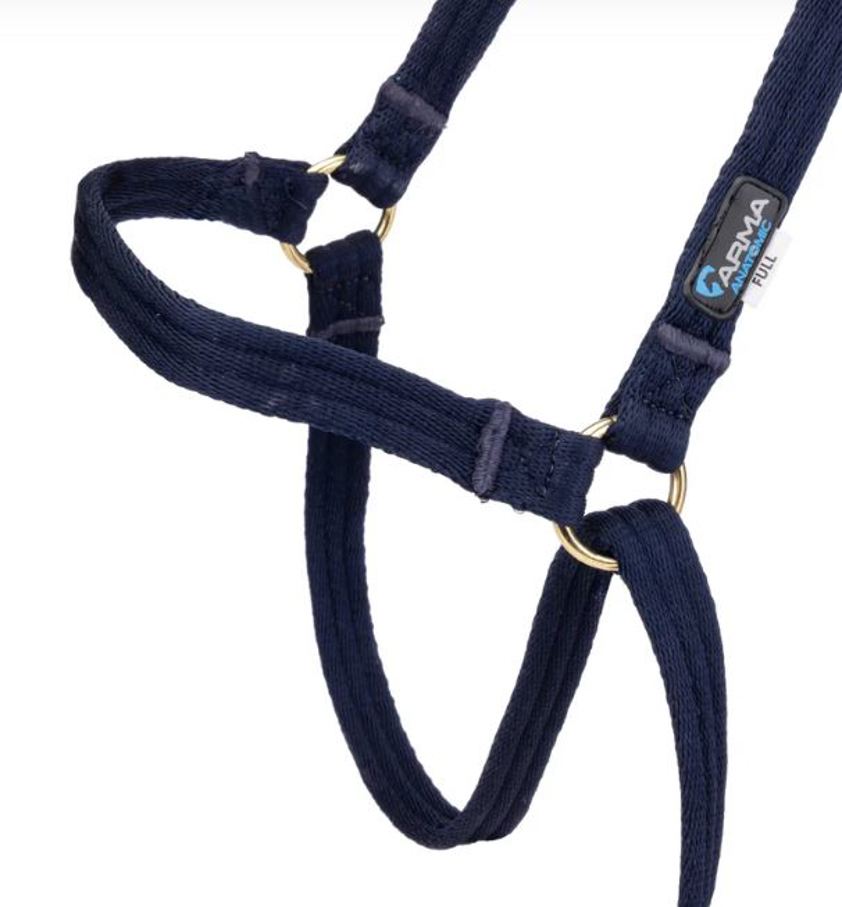 Navy Arma Cushion Web Halter & Lead