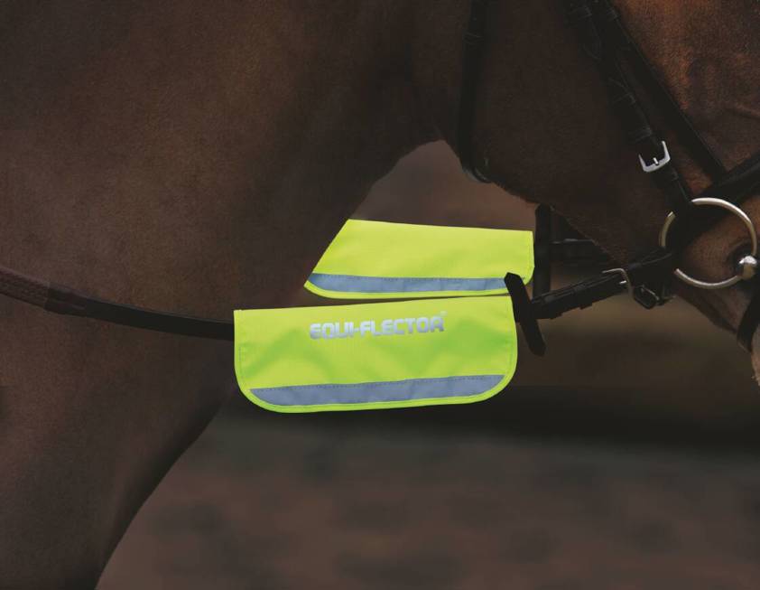 Orange Equi-Flector Bridle Band