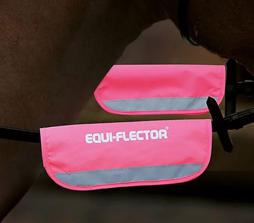 Pink Equi-Flector Bridle Band