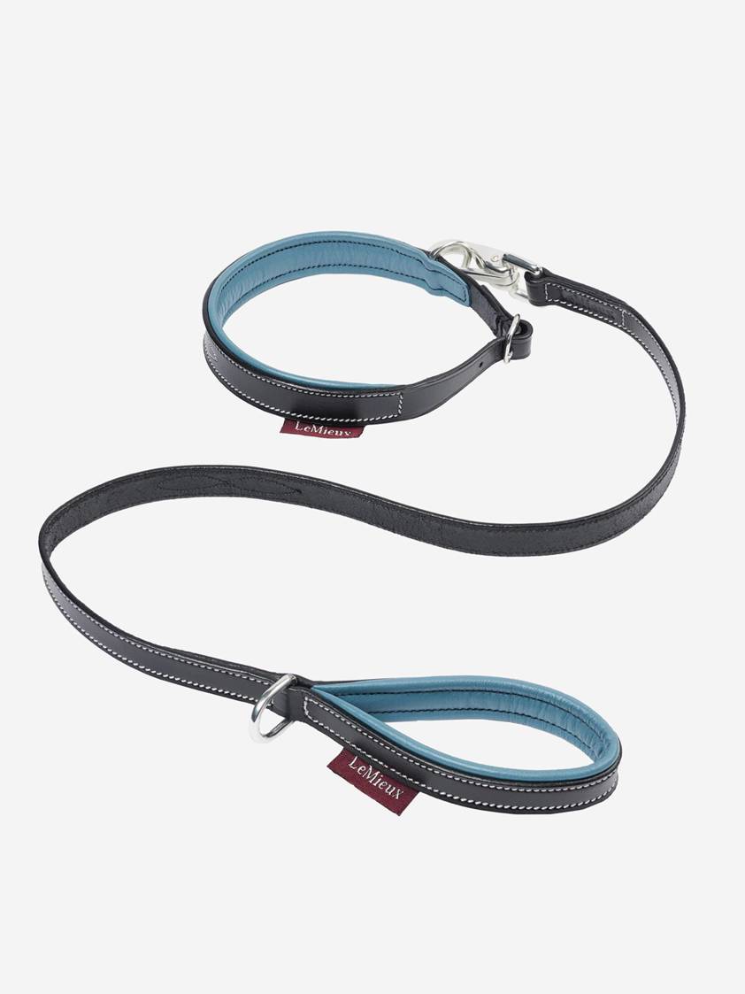 Ice Blue/Black Collar and Lead LeMieux Toy Puppy Accessories