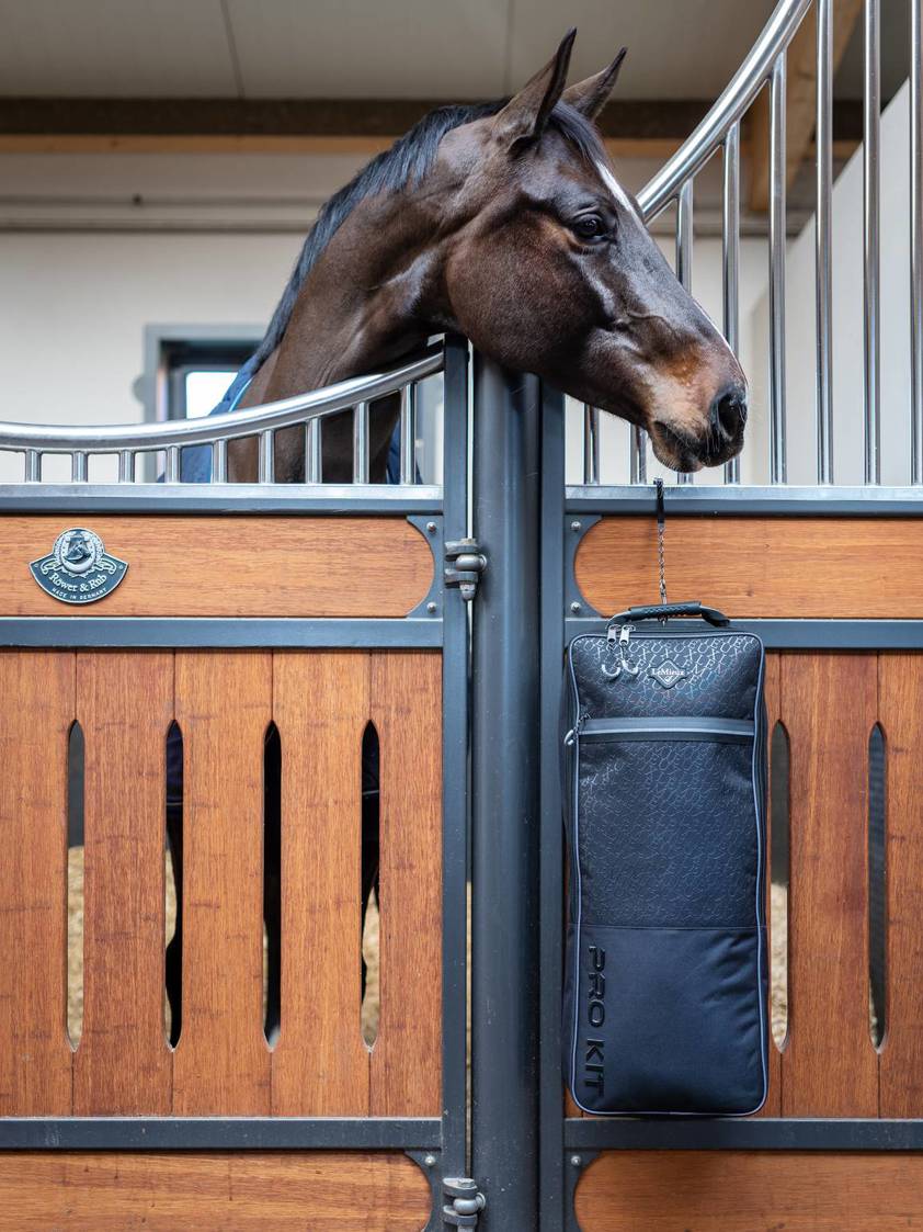 Bridle Bag Elite Luggage