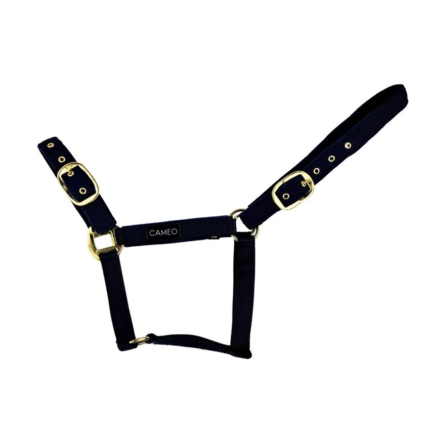 Black Cameo Suede Padded Headcollar