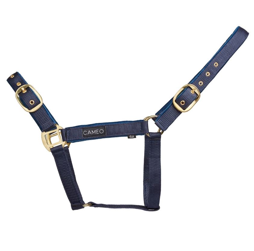 Navy Cameo Suede Padded Headcollar