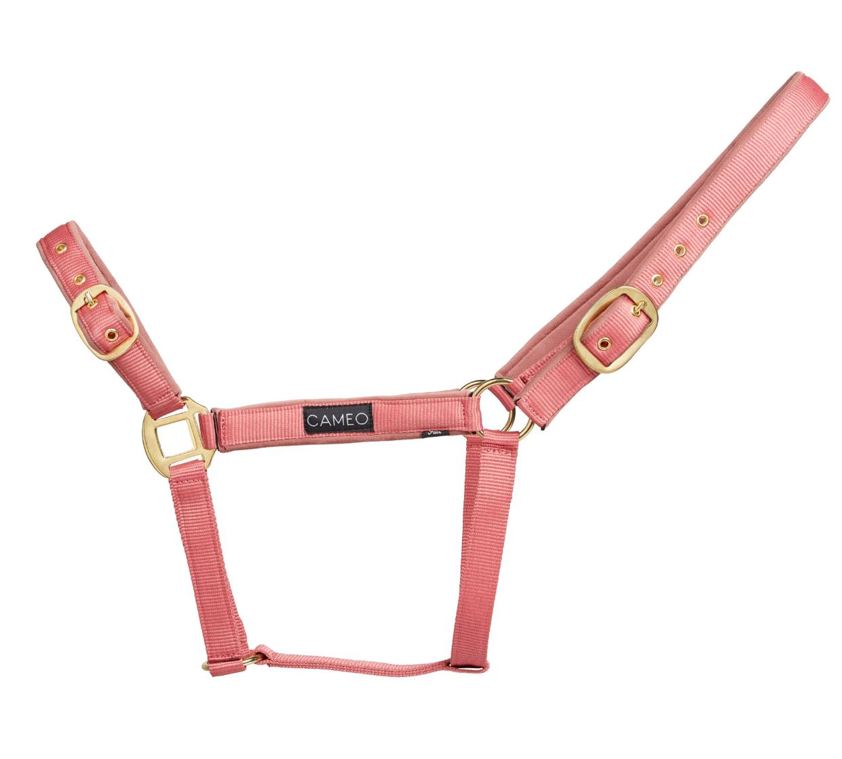 Dusky Pink Cameo Suede Padded Headcollar