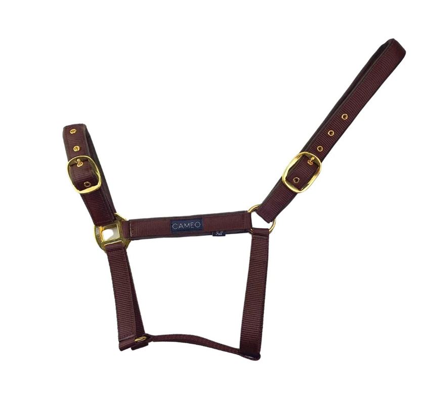 Chocolate Brown Cameo Suede Padded Headcollar