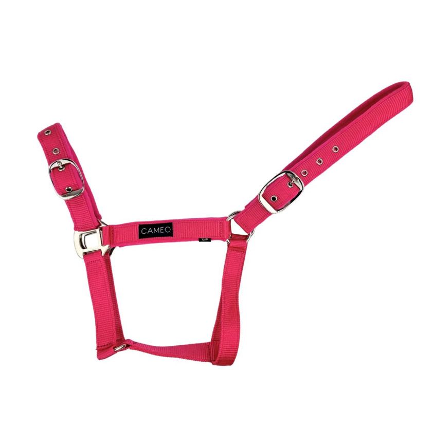 Pink Cameo Suede Padded Headcollar