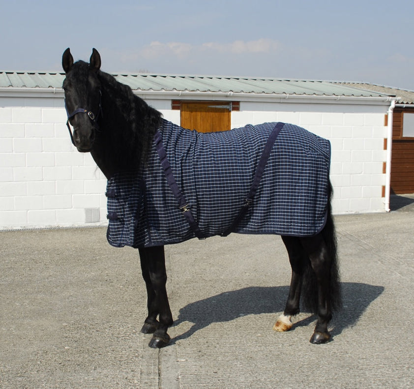 Navy/Turquoise Rhinegold Waffle Cooler Rug