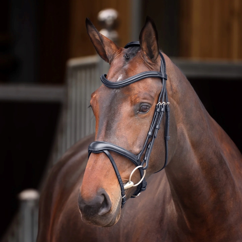 Black Velociti Lusso Elite Flash Bridle