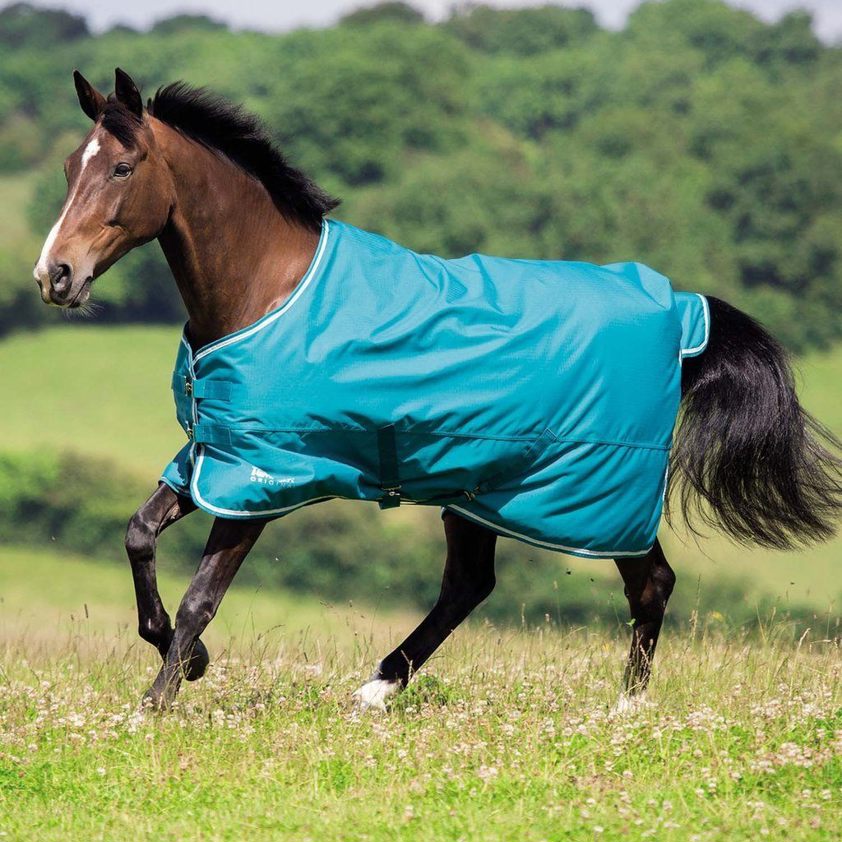 Sea Green/White Shires Tempest 50G Turnout Rug