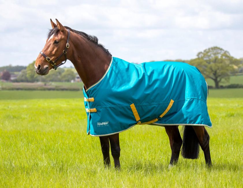 Blue Shires Tempest 50G Turnout Rug