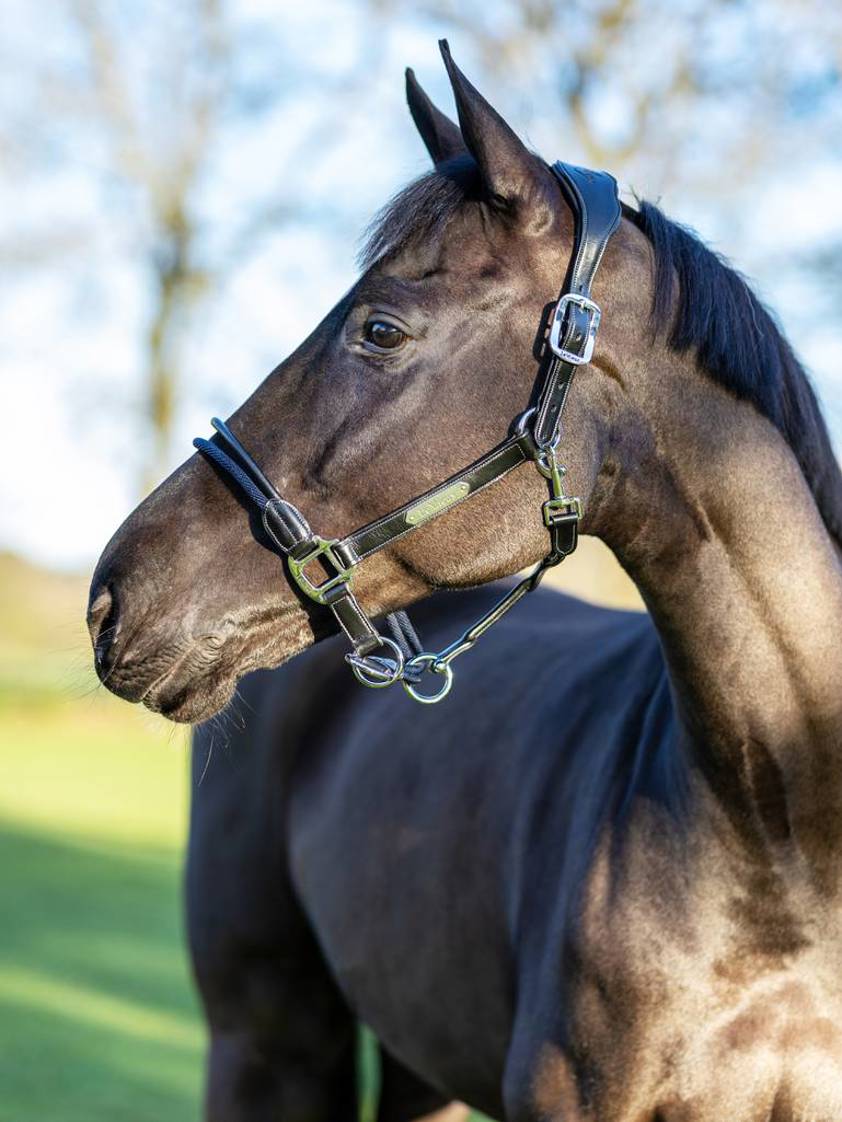 Black LeMieux Rope Control Headcollar