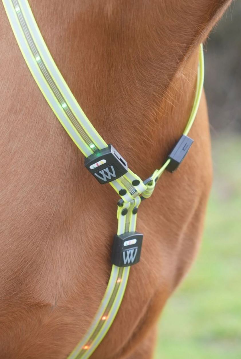 Yellow Woof Wear LED Neck Band