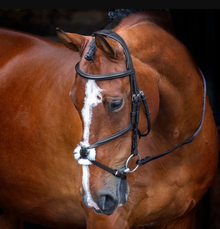 Black Velociti RAPIDA Grackle Bridle