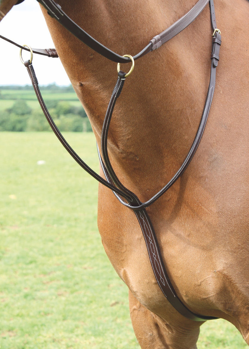 Australian Nut Salisbury Running Martingale