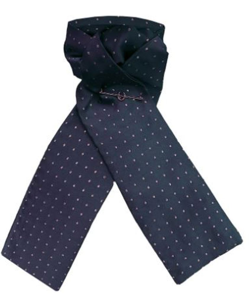 Navy/Metallic Gold Equetech Stock Untied