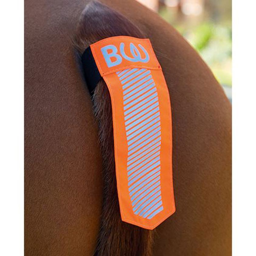 Orange Visibility Tail Strap