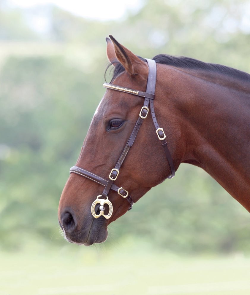 Havana/Gold Clincher Inhand Bridle