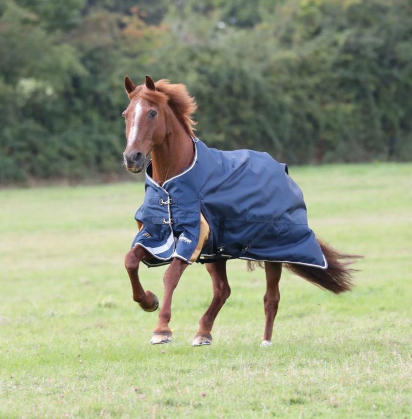 Navy Highlander Plus Lite Turnout Rug