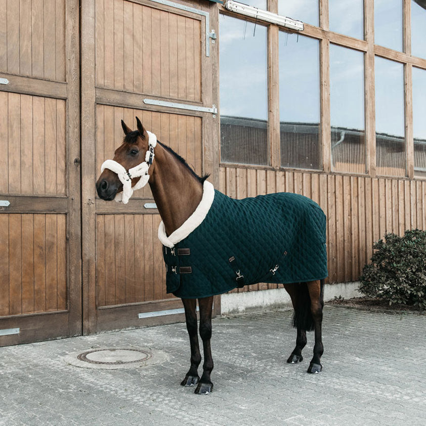 Pine Green Kentucky Show Rug