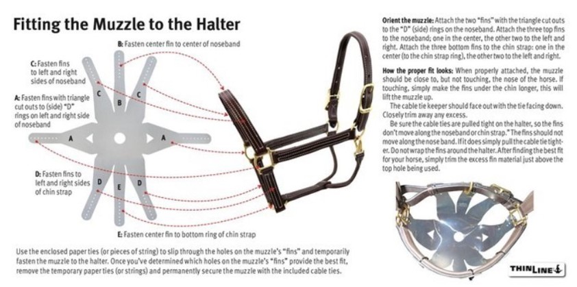 Clear ThinLine Flexible Filly Grazing Muzzle