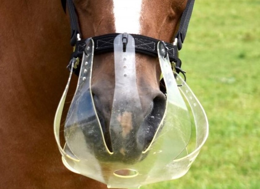 Clear ThinLine Flexible Filly Grazing Muzzle