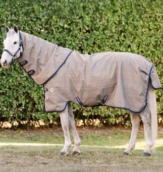 Seasonal Amigo 900D Revive Plus Turnout 50g