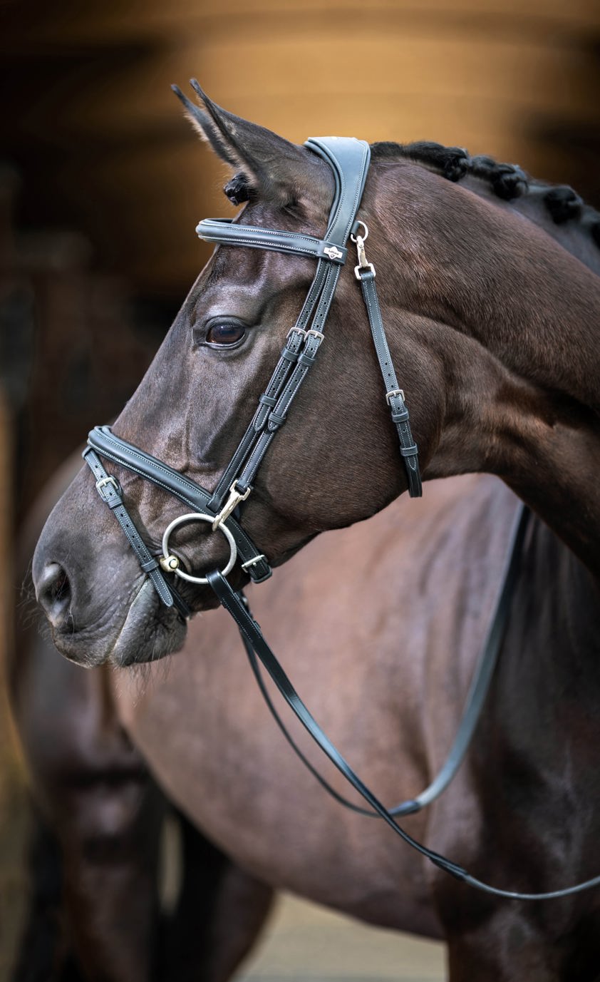 Black LeMieux Work Bridle