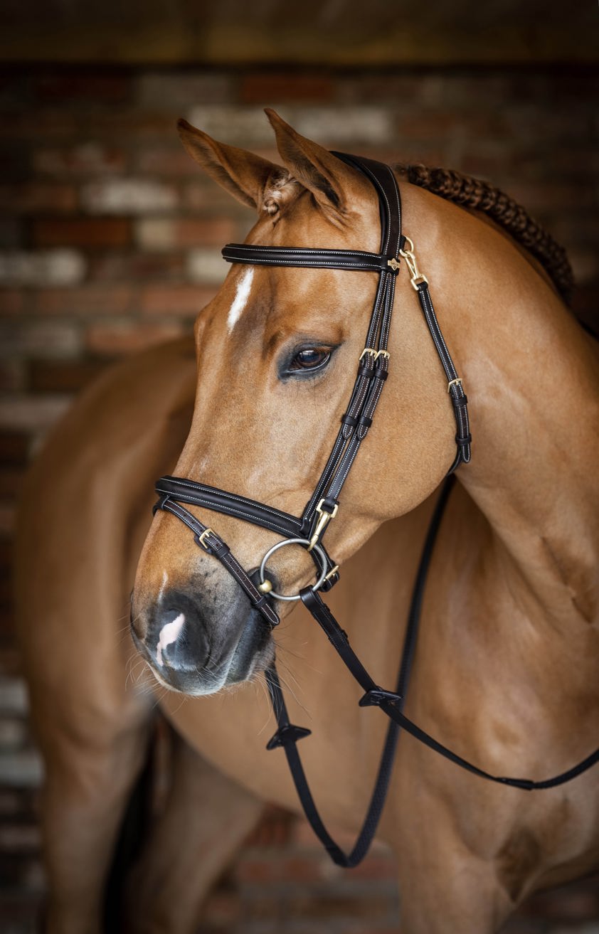 Brown LeMieux Work Bridle