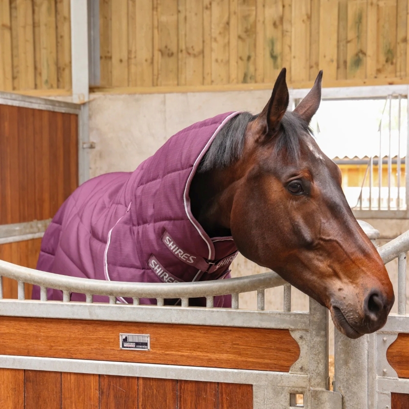 Burgundy Tempest Original 300 Stable Rug & Neck - 600D