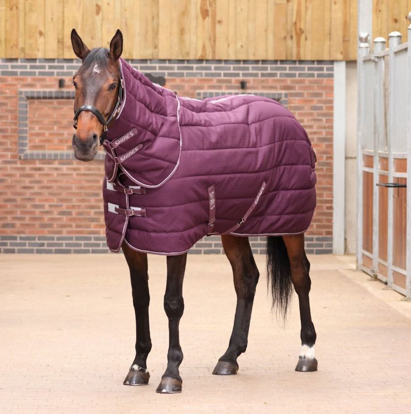 Burgundy Tempest Original 300g Stable Rug & Neck - 600D
