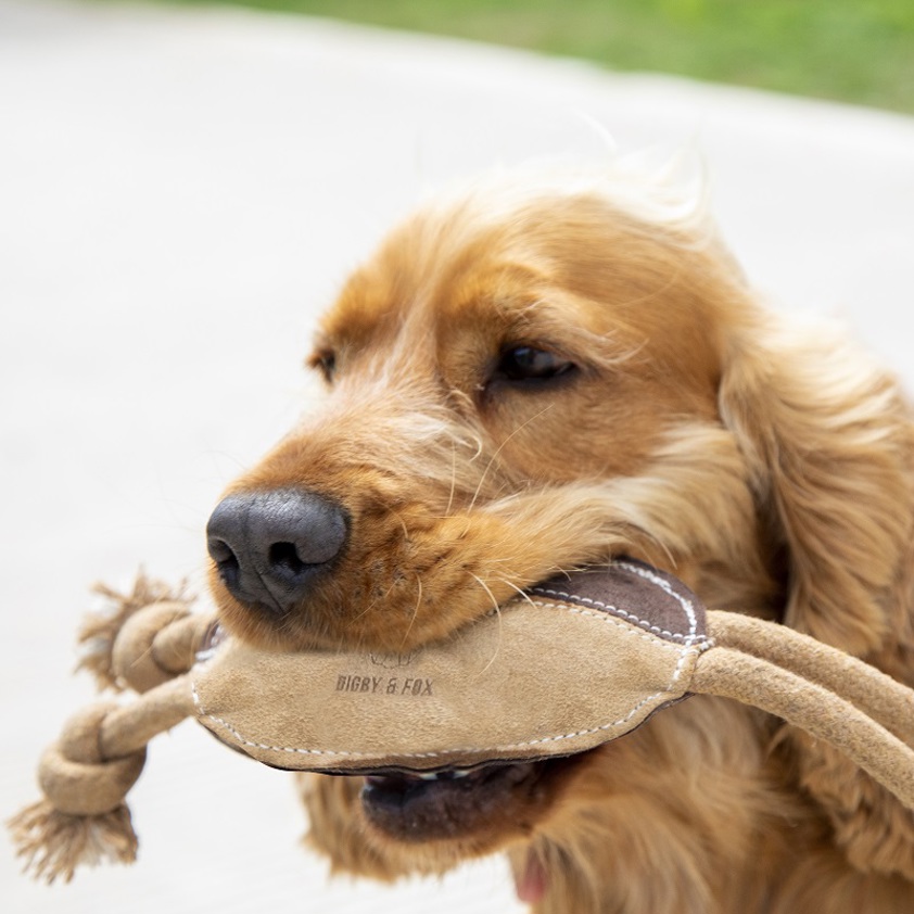 Brown Digby & Fox Leather Dog Toys