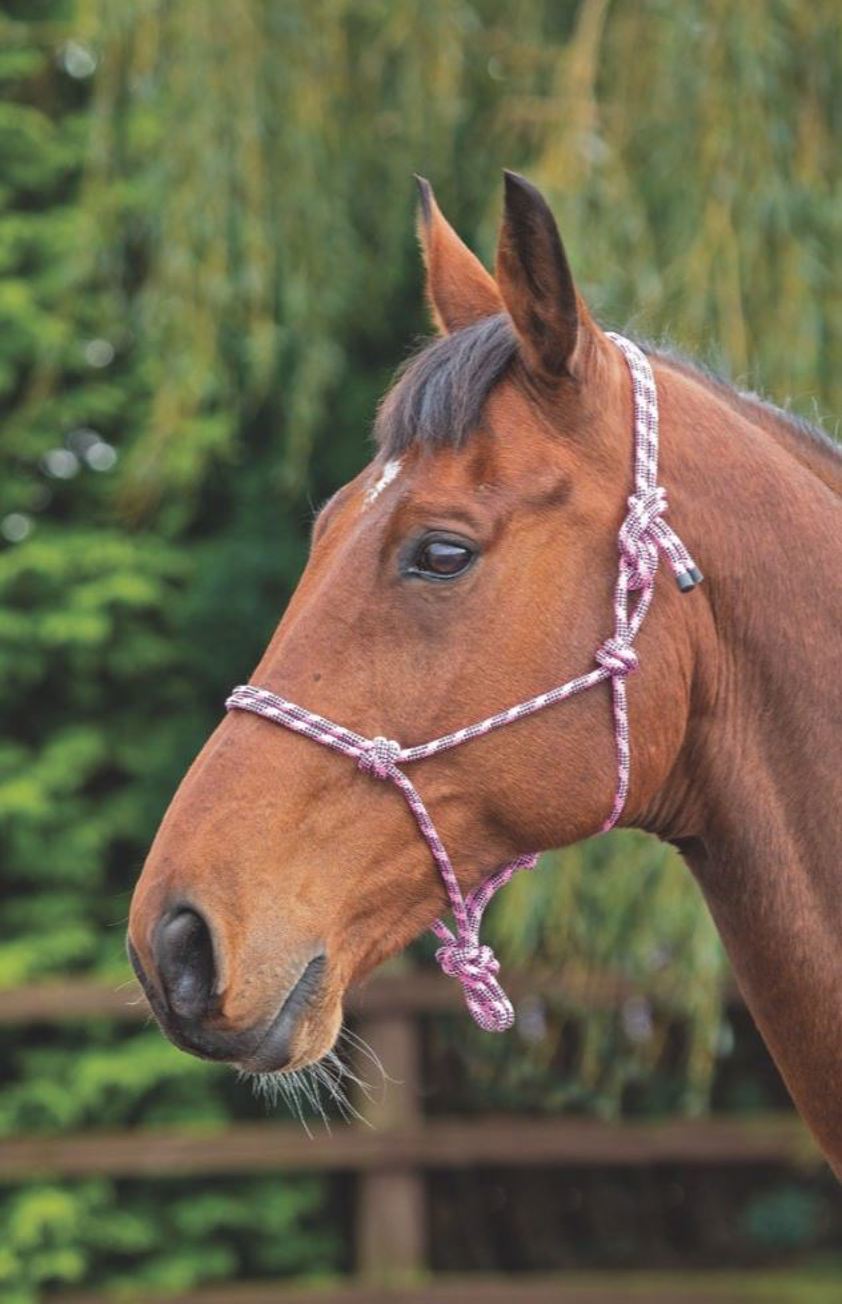 Pink/Black Arma Rope Control Headcollar