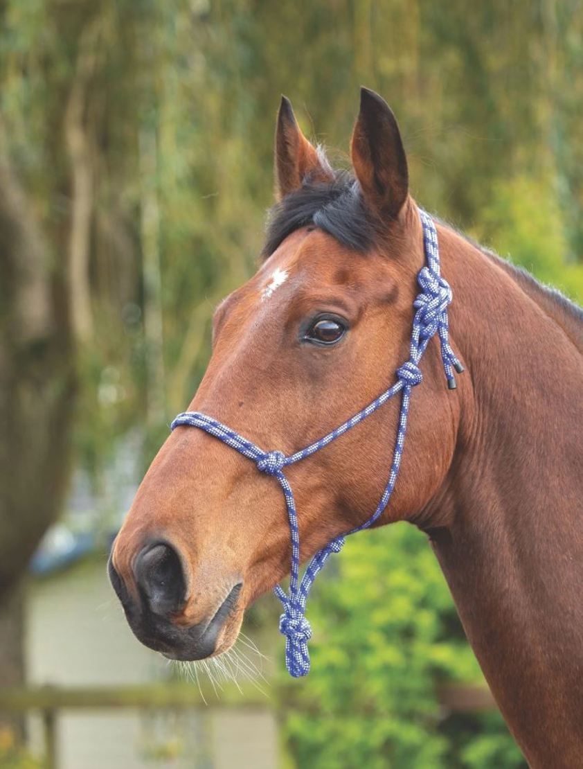 Navy/White Arma Rope Control Headcollar