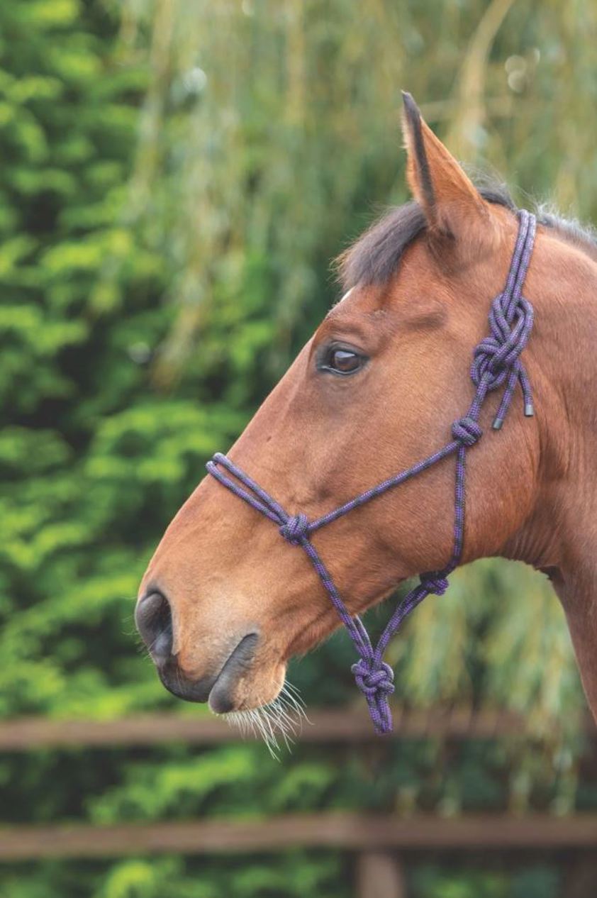 Purple/Black Arma Rope Control Headcollar