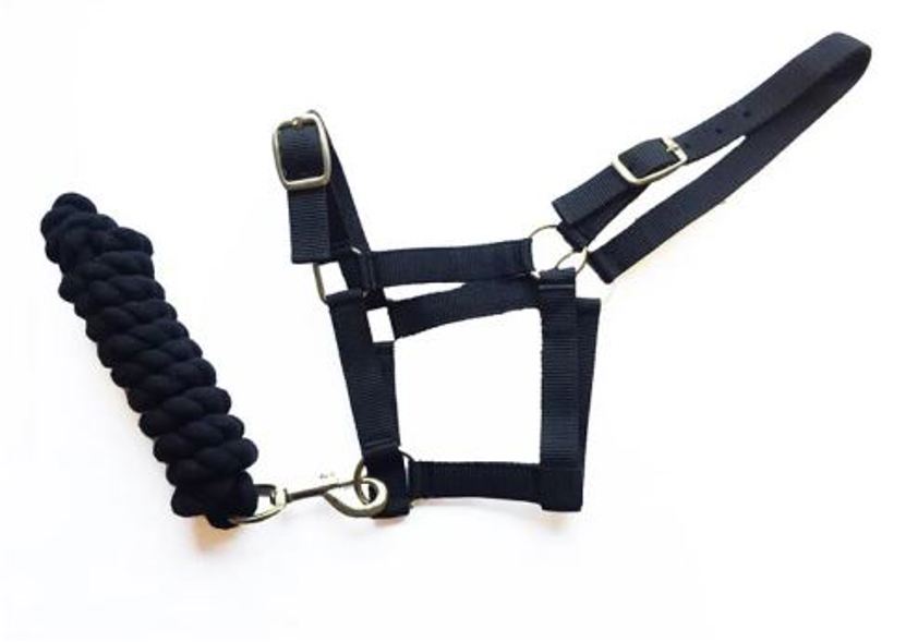 Black Harlequin Headcollar And Rope Set