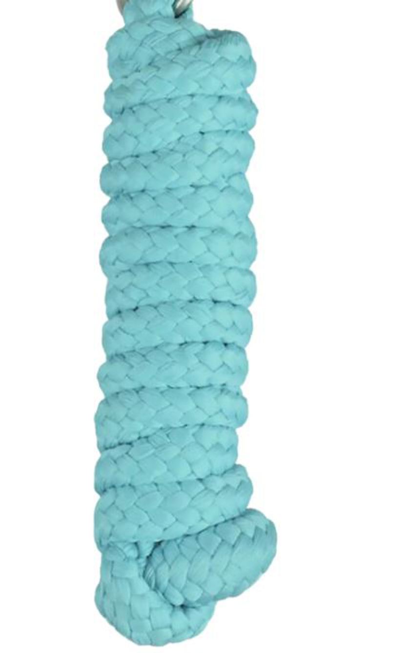 Mint Rhinegold Soft Woven Lead Rope