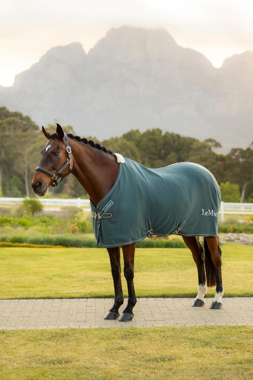 Jungle Kudos Bamboo Cooler