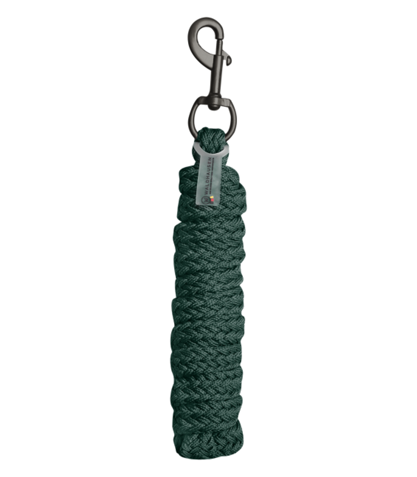 Green Gloomy Lead Rope