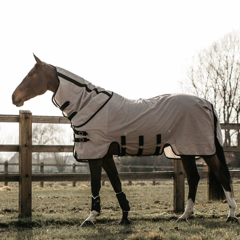 Beige Kentucky Fly Rug