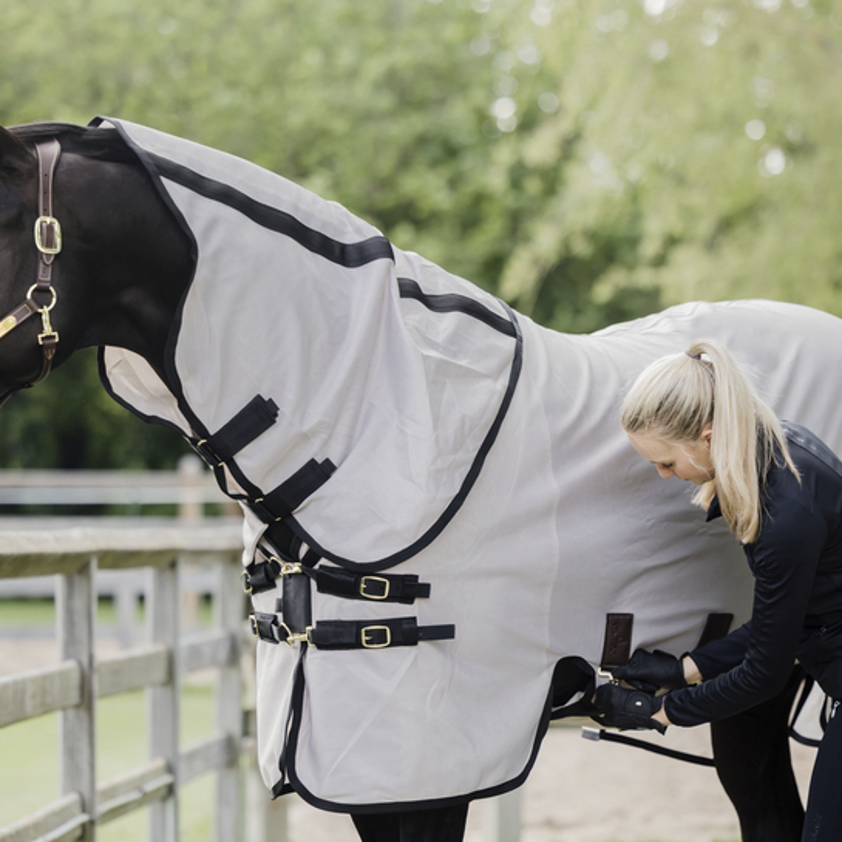 Beige Kentucky Fly Rug